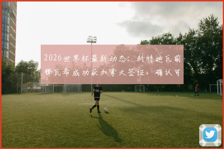 2026世界杯最新动态:科特迪瓦前锋瓦希成功获加拿大签证,确认可出战对阵德国关键比赛