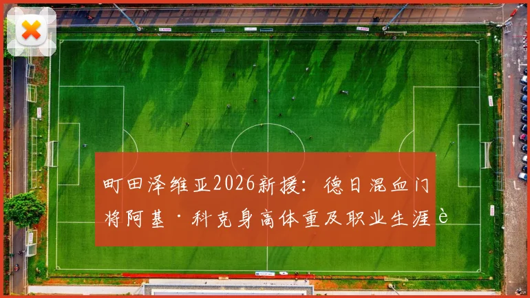 町田泽维亚2026新援：德日混血门将阿基·科克身高体重及职业生涯解析，J联赛归化球员新动态