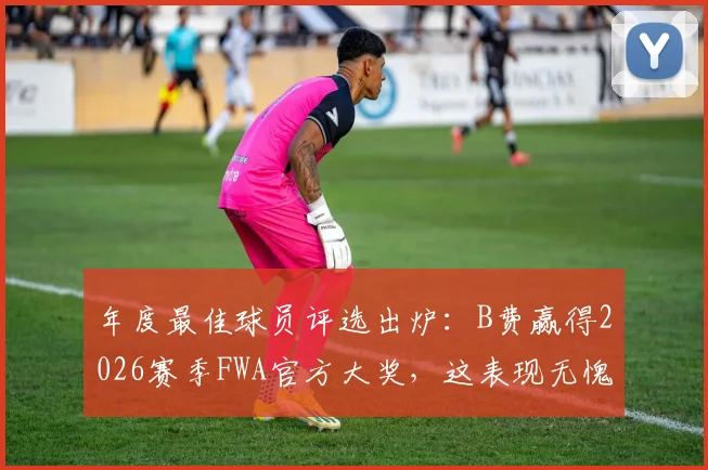 年度最佳球员评选出炉：B费赢得2026赛季FWA官方大奖，这表现无愧赞誉！