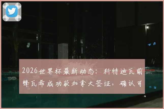 2026世界杯最新动态：科特迪瓦前锋瓦希成功获加拿大签证，确认可出战对阵德国关键比赛